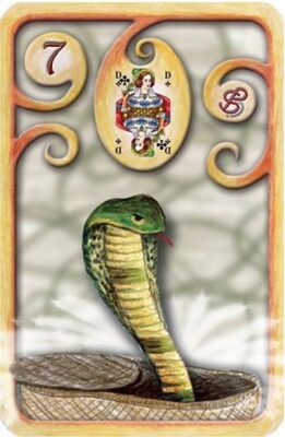 07 – A Serpente/Cobra – Baralho Cigano – Petit Lenormand