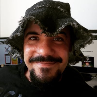 Breve Biografia – Rafael Henrique Martins Breve Biografia – Rafael Henrique Martins