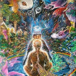 Aiahuasca Expansão da Consciencia