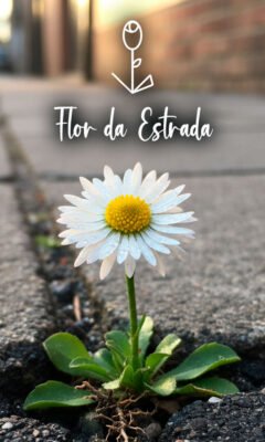 Flor da Estrada
