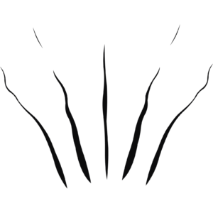 The Desperate - O Desesperado